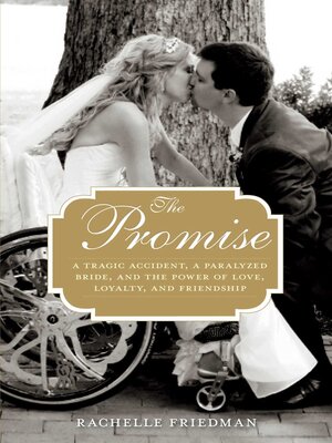 cover image of The Promise